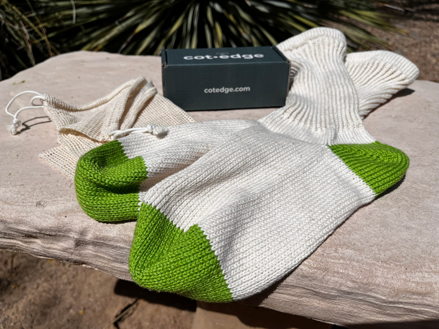 Cotedge Men's Regular Crew Socks with Green Heel and Toe